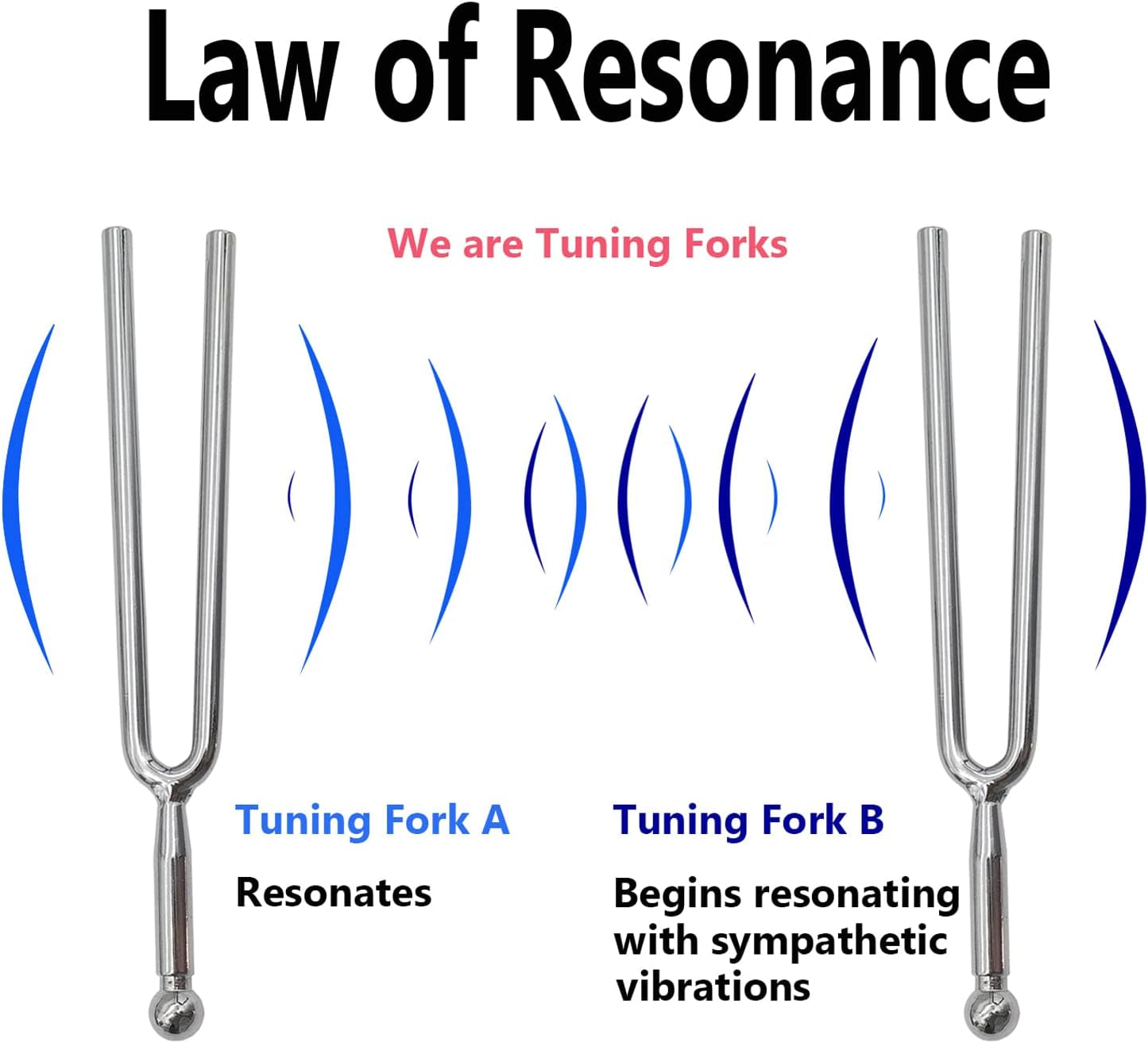A440 Hz Tuning Fork (A440) Standard a Key for Guitar Bass Violin Tuner String Musical Instrument Tuner Tuning Forks, All in Storage Pouch